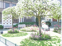 normandie mai 2006 020